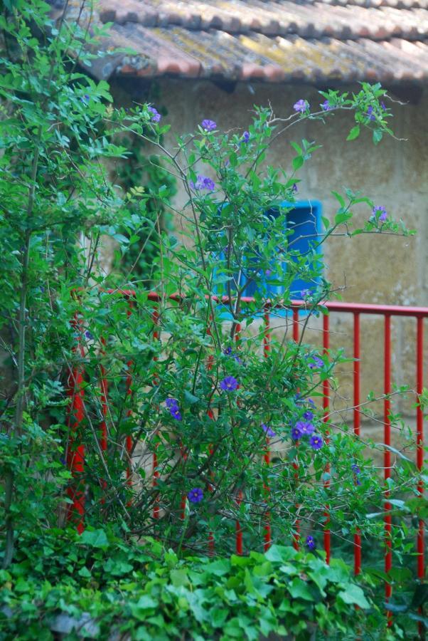 Les Volets Bleus Provence Villa Salon-de-Provence Buitenkant foto